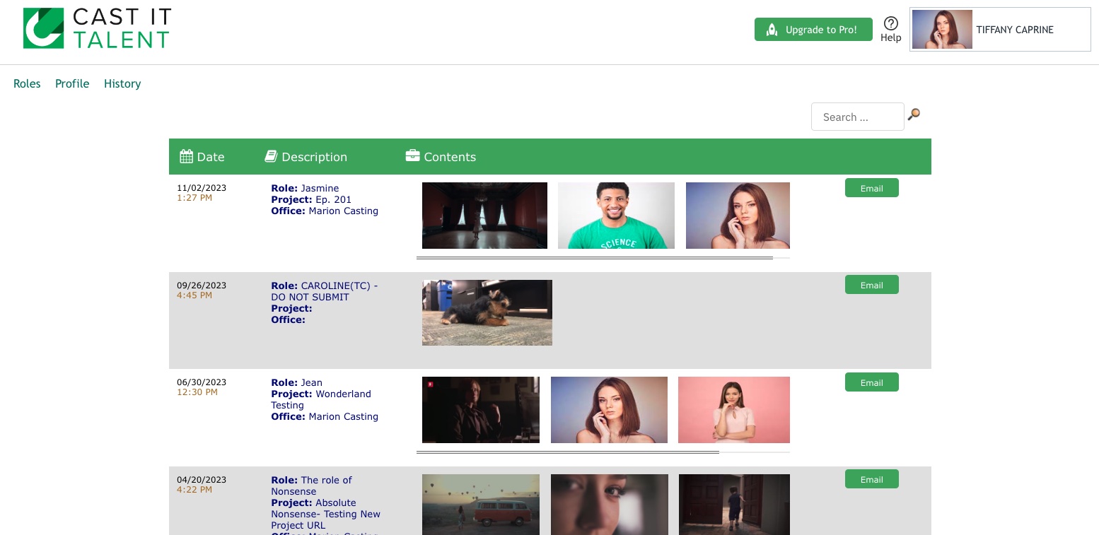 CIT hirstory page.jpg