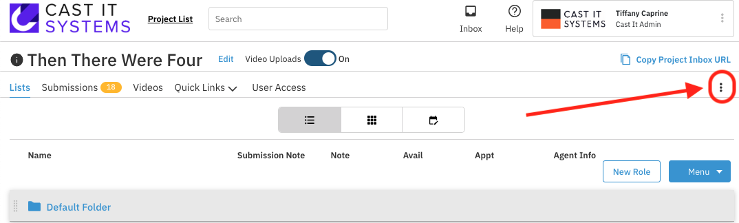 project overflow menu.png